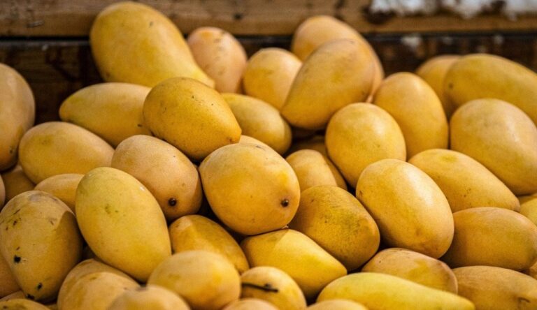 Pega al mango bloqueo de EUA al aguacate