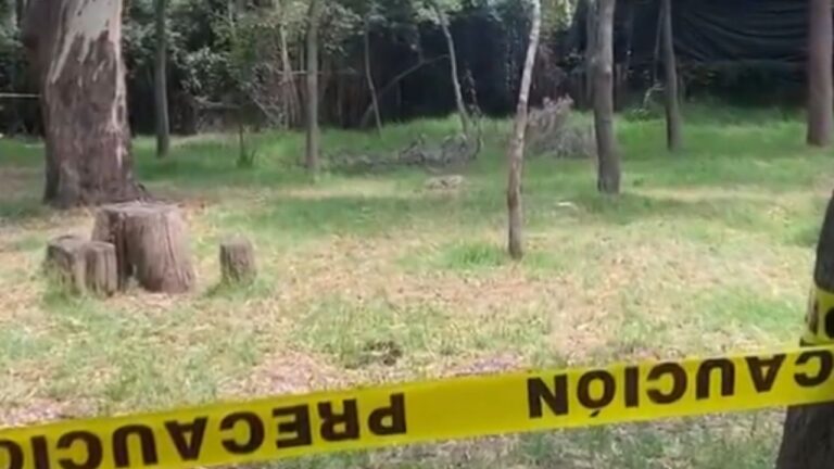 Encuentran otro perrito muerto en el Bosque de Nativitas; van 25 casos