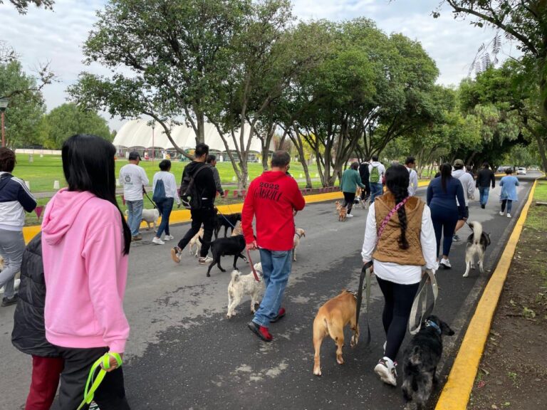 Tecámac prioriza el Bienestar Animal, Asegura Gobierno Municipal