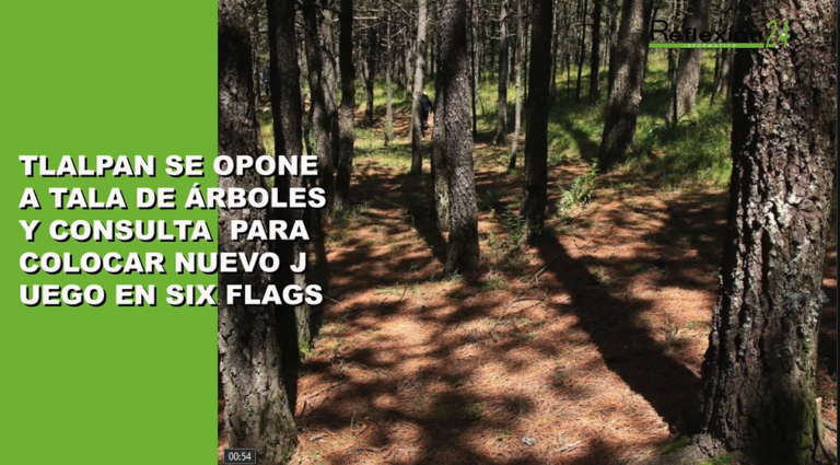 #CápsulaR24 #Hoy #Noticias #Cadeneros #Puebla #Tlalpan #TalaÁrboles #SixFlags #Senado #Ecatepec