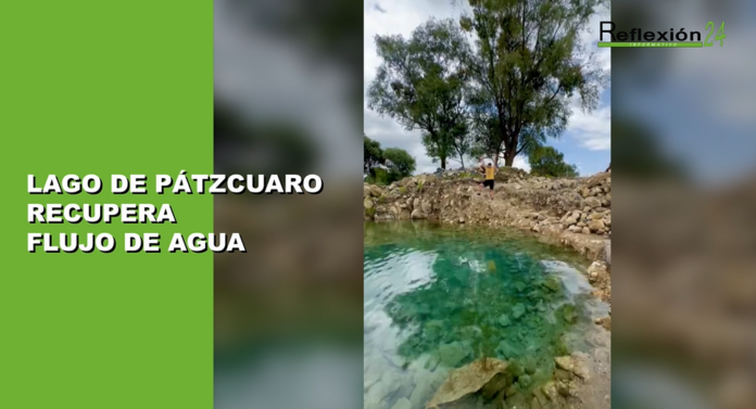 #CápsulaR24 #Hoy #Noticias #Sismo #PinotepaNacional #ClaudiaSheinbaum #TrenMaya #TrenInteroceánico #KarlaFiesco #CarlosAhumada