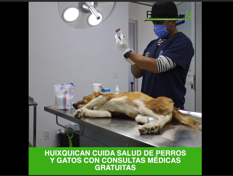 #CápsulaR24 #Hoy #Noticias #AtaqueAbejas #BocaDelRío #Veracruz #GabyOsorio #CirceCamacho #JavierLópezCasarín