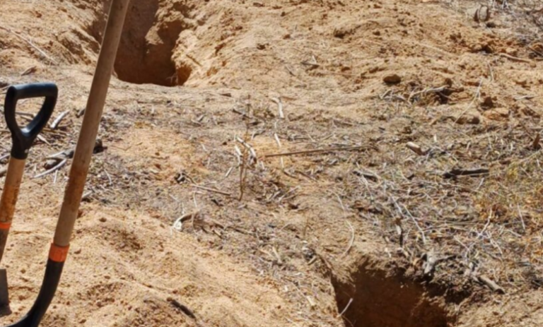 Encuentran dos nuevas fosas clandestinas en Los Cabos, BCS