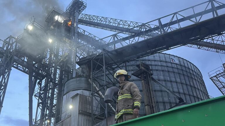 Incendio en almacén de semillas en Michoacán deja pérdidas millonarias