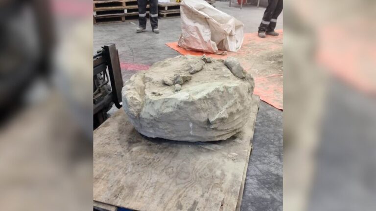 Incautan en Países Bajos más de 3 toneladas de metanfetamina procedente de México