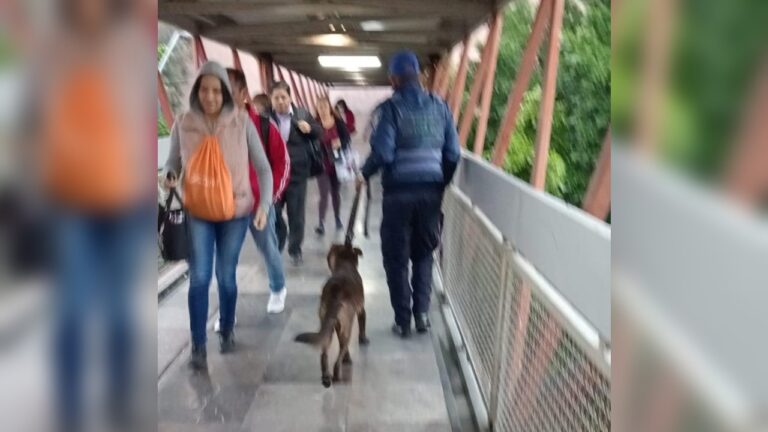 Retiran a perrito de vías tras interrumpir servicio en Línea B del Metro