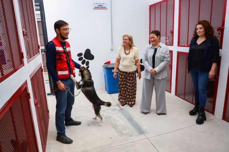 DIF Tlalnepantla Recibe Donación de Alimento Canino del Poder Judicial en Apoyo a Mascotas en Adopción