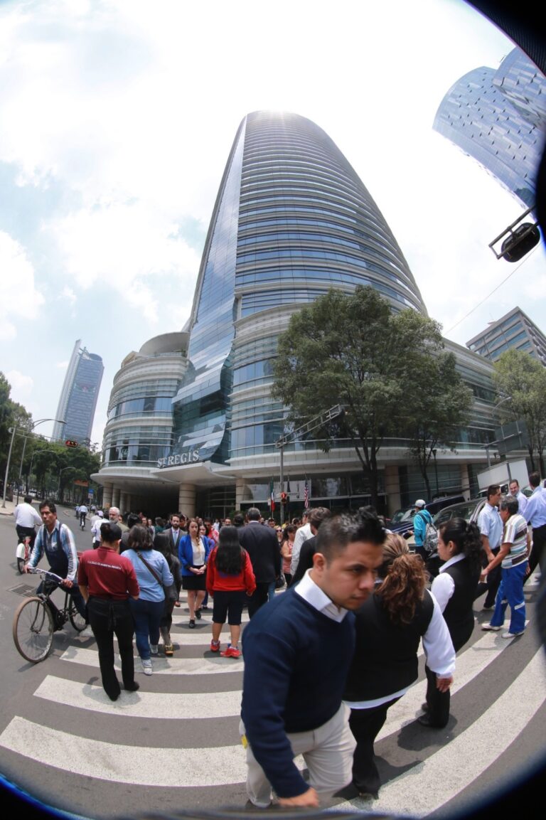 Urbanización, monstruo hambriento de áreas verdes de la Ciudad de México: especialistas