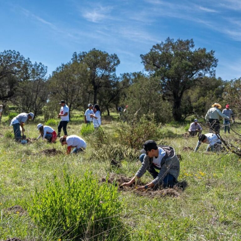Impulsan conservación ambiental en Tlaxcala, con partición de empresas y ciudadanía