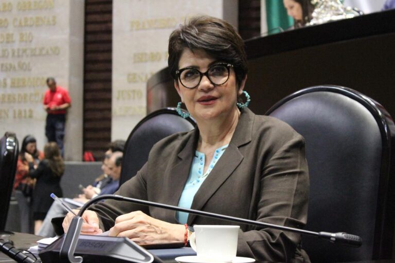 Impulsará Sheinbaum reformas políticas y sociales: Magdalena Nuñez