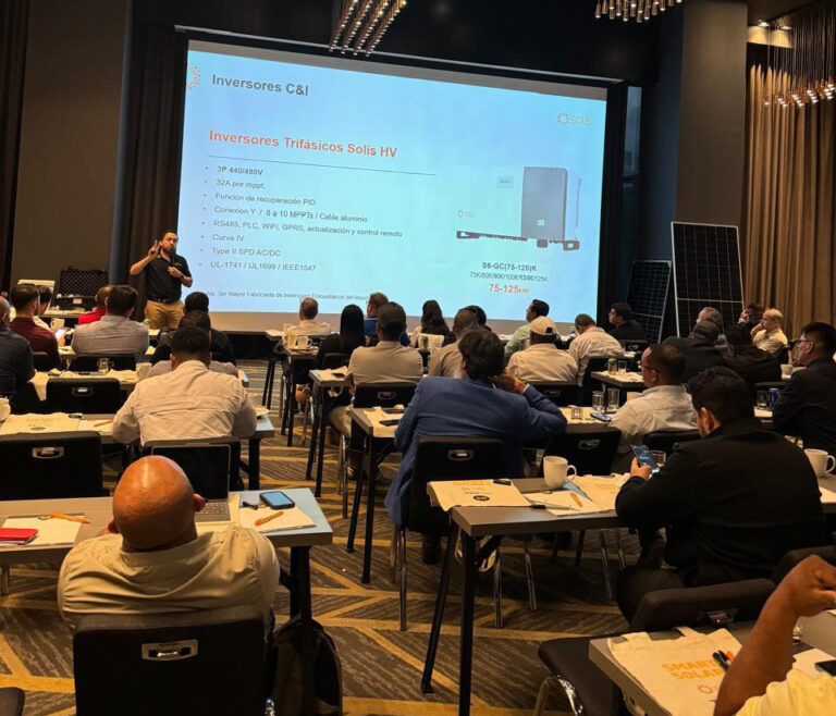 Solís líder mundial en envíos de inversores monofásicos de cadena