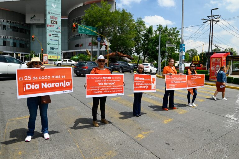 Toman las Calles de Naucalpan para Visibilizar la Violencia Contra las Mujeres
