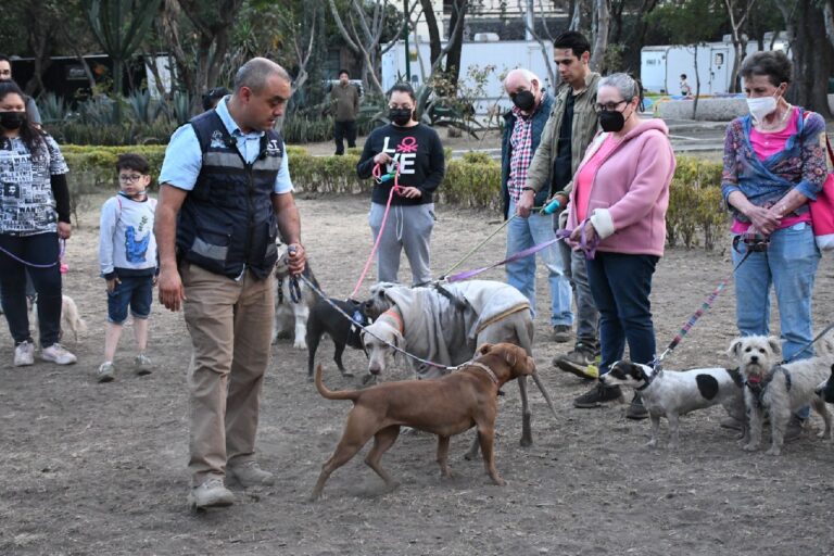 Tlalpan lidera en protección animal: amplía recursos y conciencia para preservar fauna endémica y mascotas