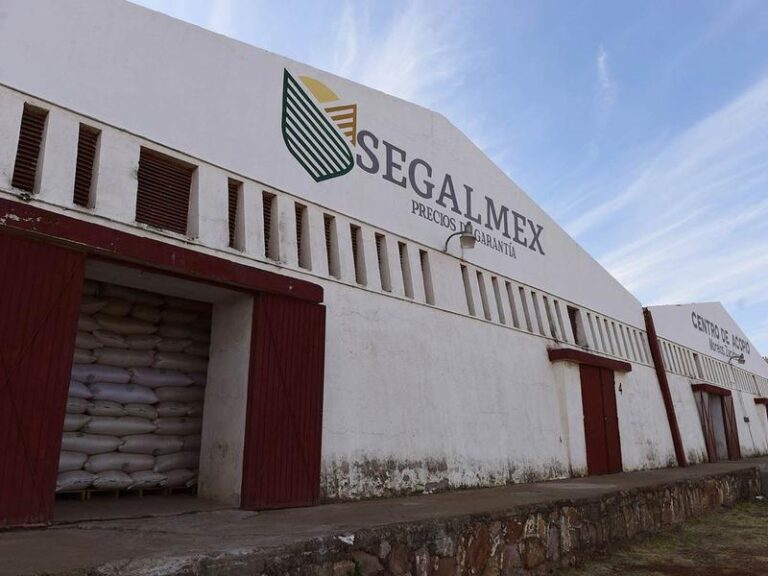 Daño patrimonial por fraude en Segalmex asciende a 2 mil 700 mdp, informa titular de la SFP