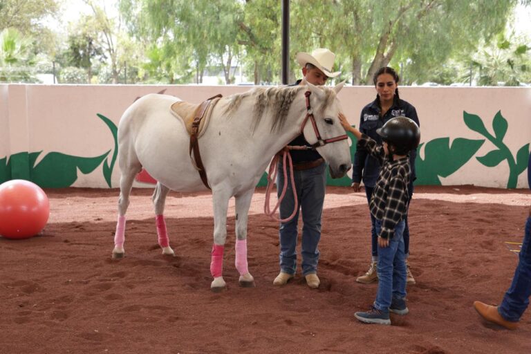 Cuenta DIF de Tecámac con Programa de Equinoterapia 