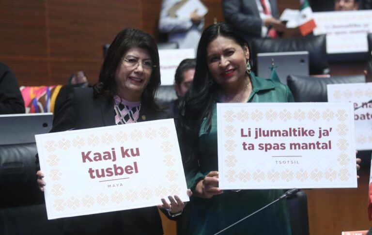 LA REFORMA EN MATERIA DE DERECHOS INDÍGENAS, GRAN PASO PARA SALDAR DEUDA HISTÓRICA: MARIELA GUTIÉRREZ