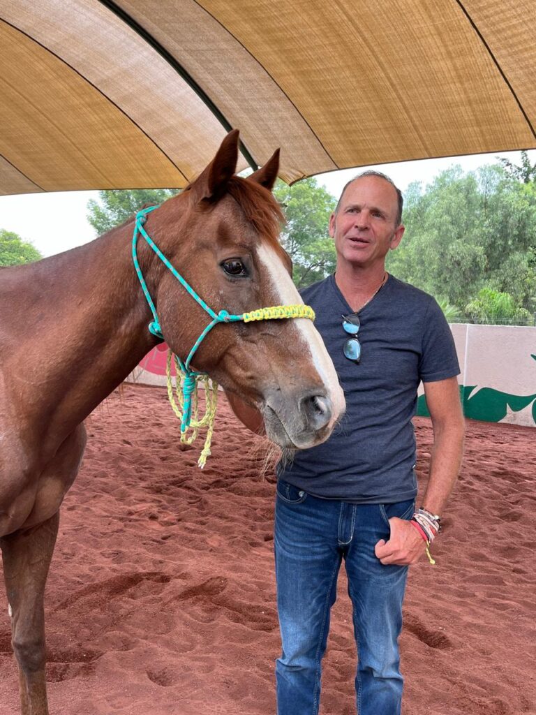 Donan Yegua Exjugadora de Polo al Santuario Animal de Sierra Hermosa