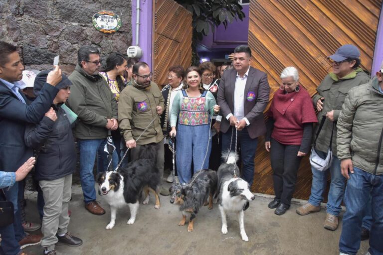 Clara Brugada escuchará a los capitalinos en recorridos casa por casa