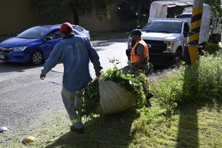 Recolectan Más de 70 Toneladas de Residuos Sólidos Urbanos en Paseo de las Marinas