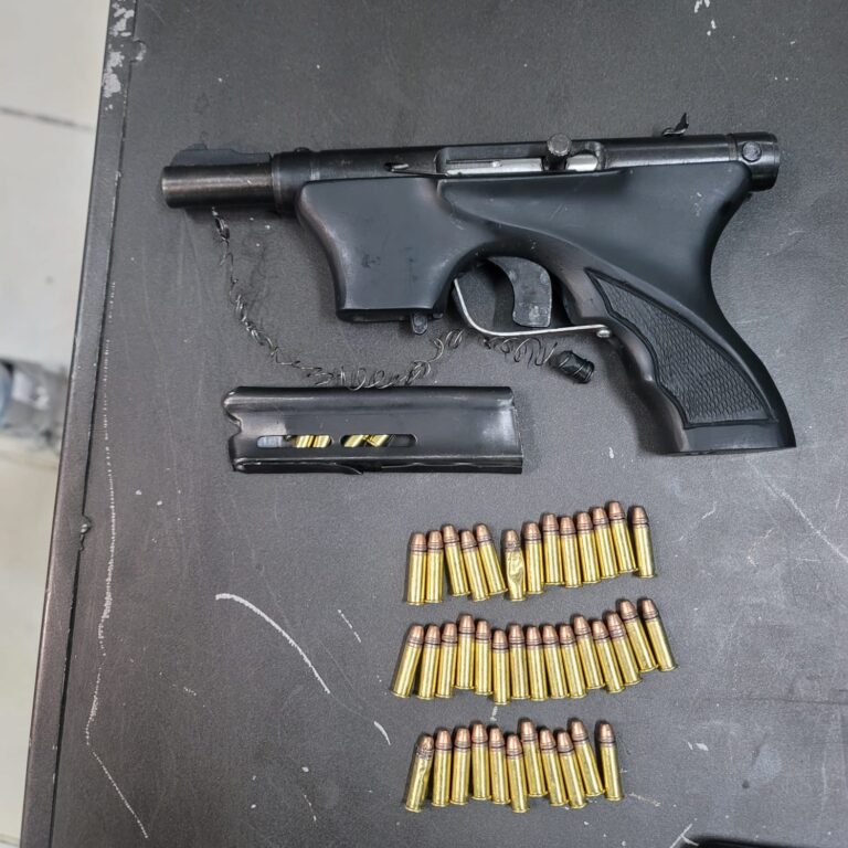 Policía de Tlalnepantla Desmantela Banda Criminal de Robo de Autos y Narcomenudeo