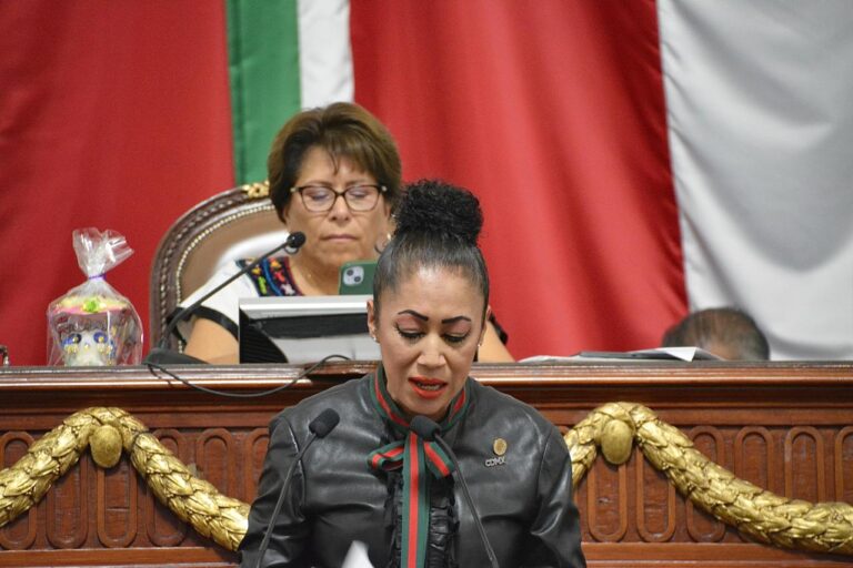Pide diputada Rebeca Peralta que TSJCDMX continúe aplicando las sentencias con perspectiva de género