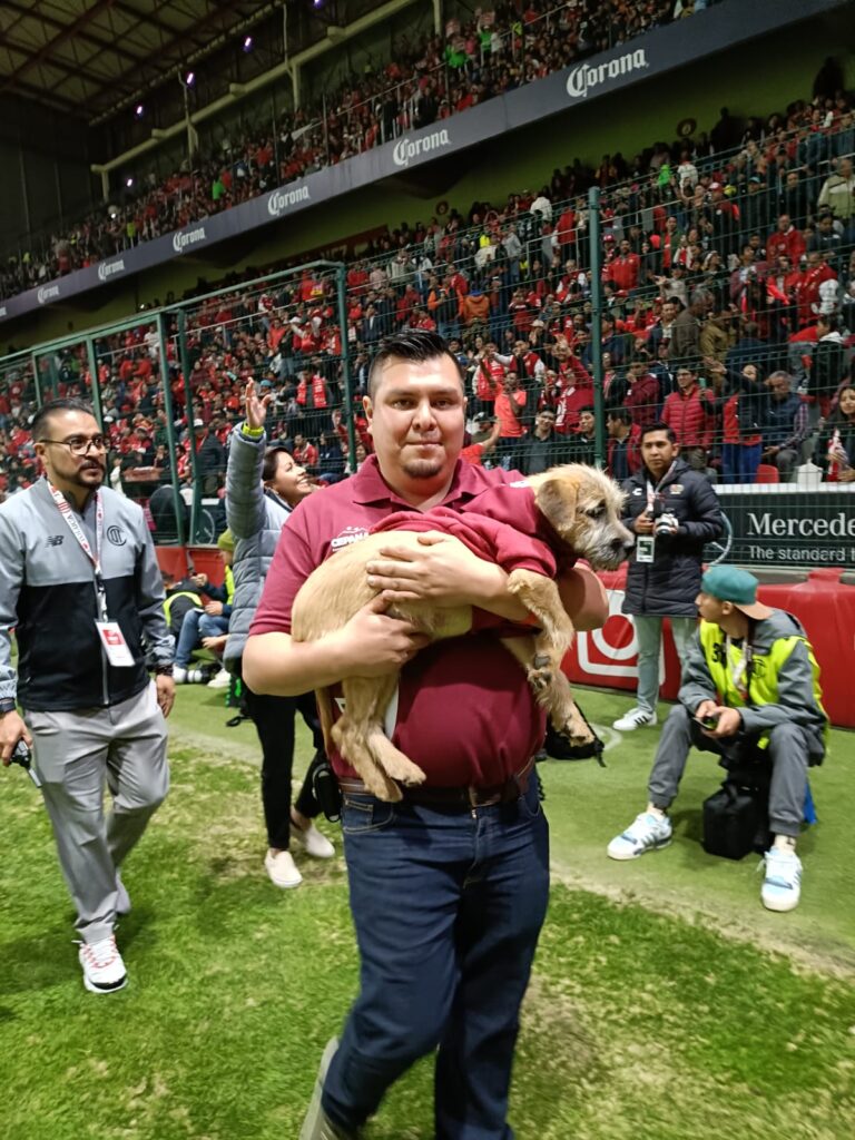 Promueven adopción de mascotas en el Estadio Nemesio Diez durante partidos de Toluca