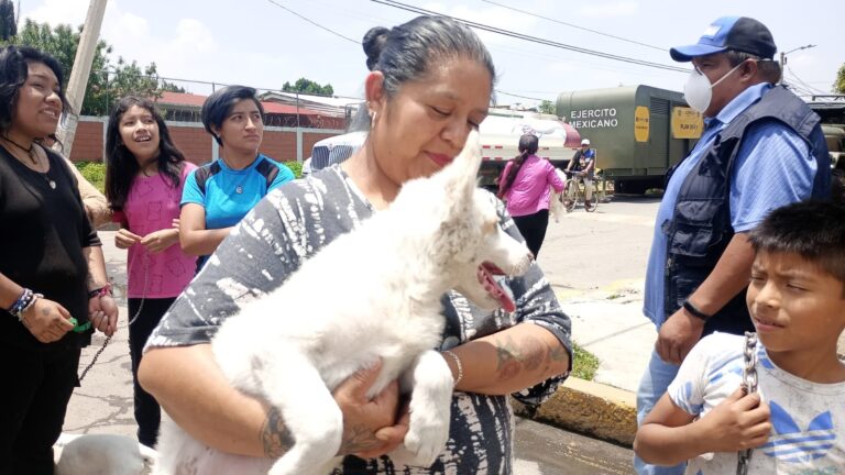 Lleva GEM Caravana por el Bienestar Animal a Chalco; acude con tus lomitos y michis este 6 de noviembre