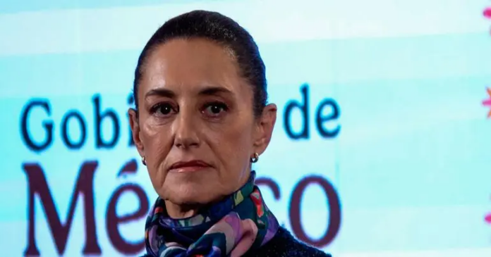 clauida-sheinbaym-silvia