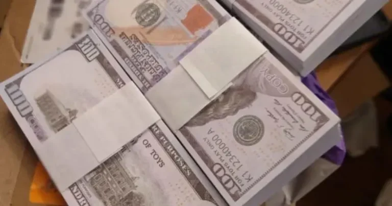 Aseguran botín multimillonario de pesos y dólares falsos en Mexicali