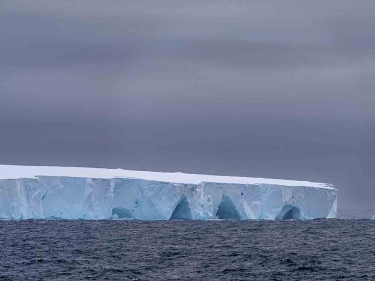 Colosal iceberg de un billón de toneladas se desprende y viaja a la deriva en el Océano Austral
