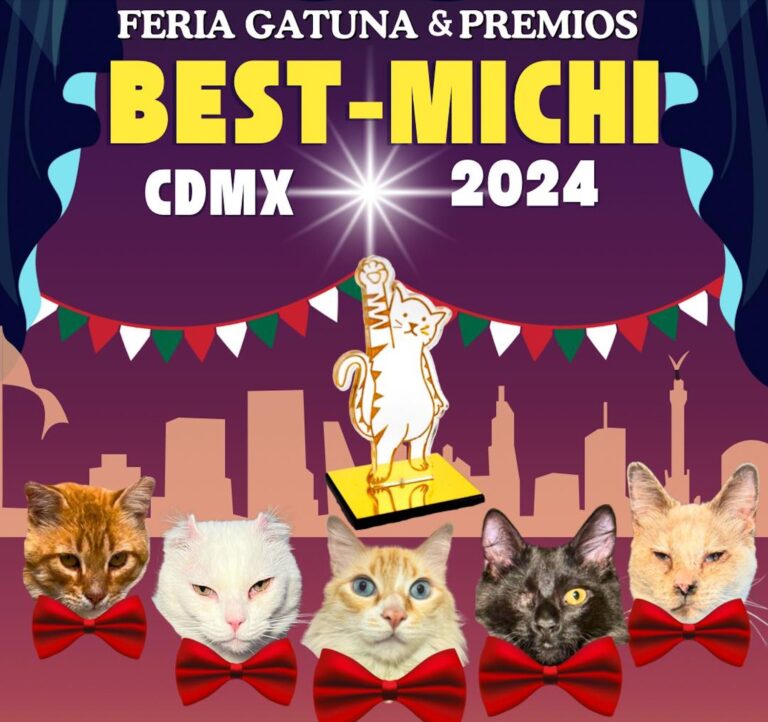 La primera edición de los Premios Best Michi en CDMX se realizará el 15 de diciembre ¡Adquiere tus boletos y apoya a refugios de gatos!