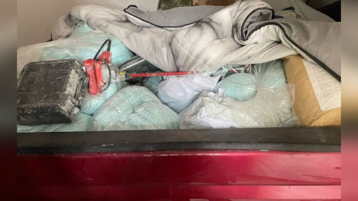 decomisan-mil-quinientos-kilos-de-fentanilo-en-sinaloa-3