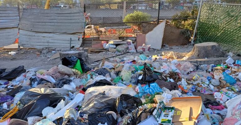 Álvaro Obregón refuerza limpieza y retira hasta cuatro toneladas de basura en tiraderos clandestinos