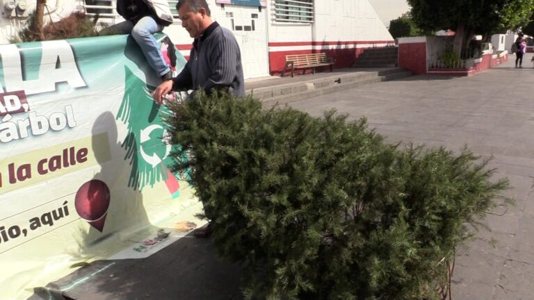 “Reciclemos juntos por un Neza más verde”: Adolfo Cerqueda