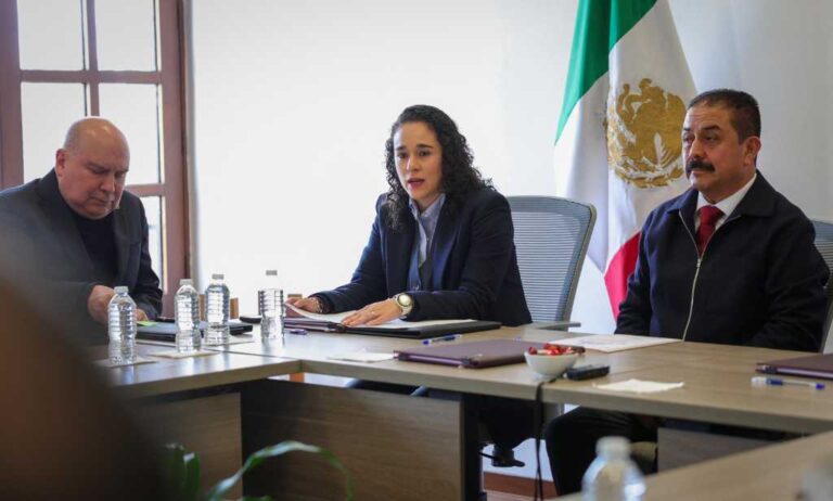 “Usar escuelas como casillas garantiza mayor cercanía con la ciudadanía”: Amalia Pulido Gómez