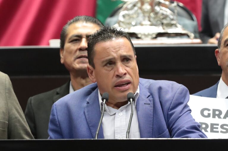 Emilio Manzanilla Propone Hasta 12 años de Prisión por el Delito de Tala Ilegal de Árboles