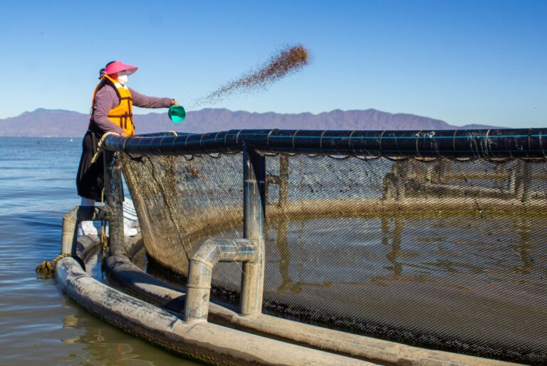 Inicia el pago del programa Bienpesca 2025 para más de 168 mil beneficiarios en México