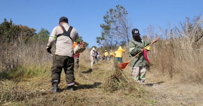 Álvaro Obregón se prepara para la temporada de incendios forestales con medidas preventivas