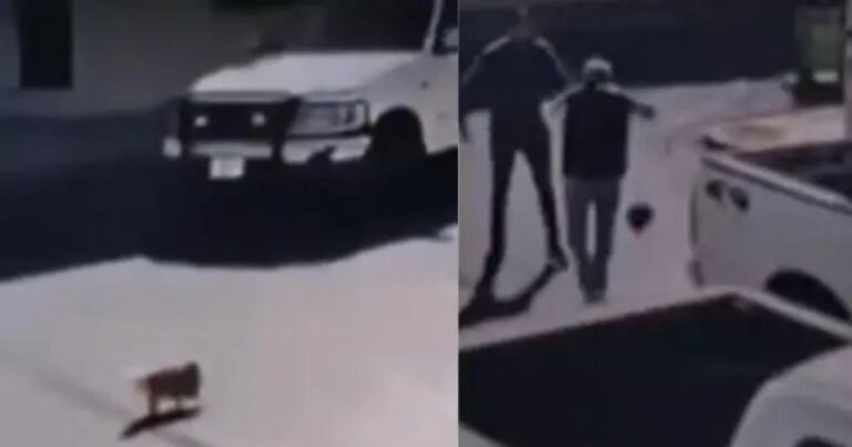 Hombre golpea a abuelito por atropellar a su perro en Piedras Negras