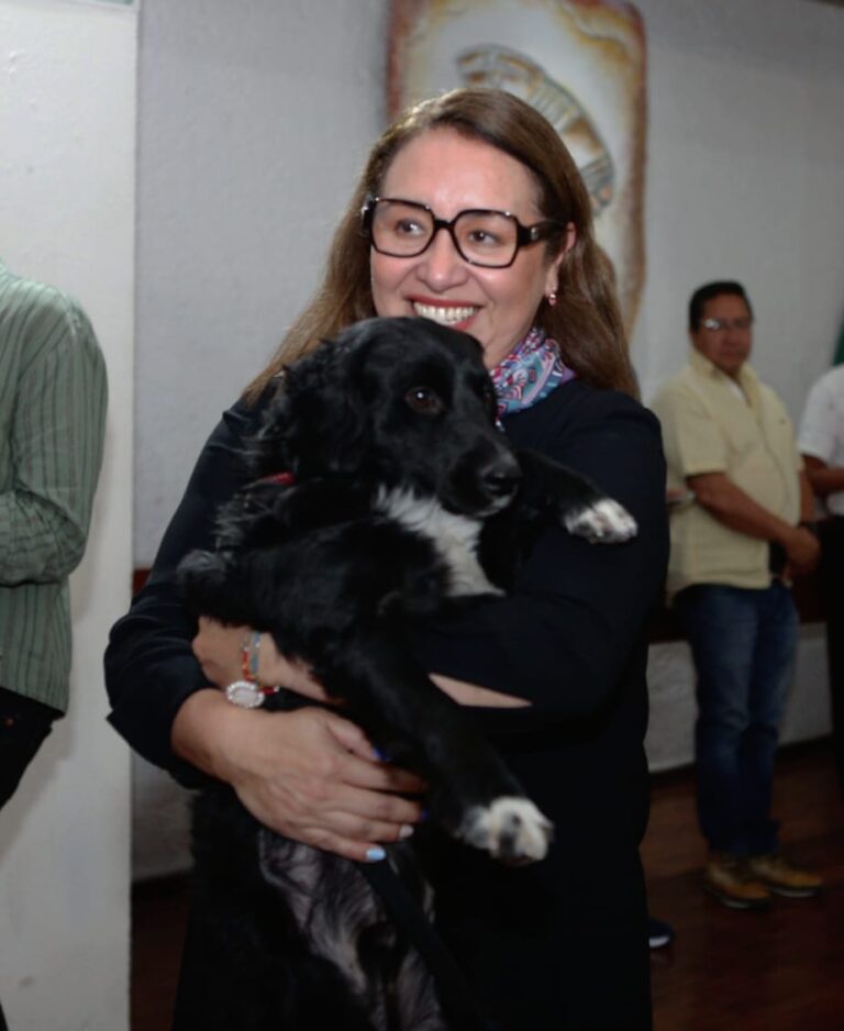 “Cambio con Honestidad”: el perrito rescatado que ahora vive en el Palacio Municipal de Ecatepec