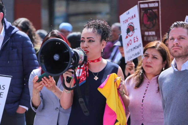 Legisladores del PVEM y Movimiento Ciudadano Rechazan Corridas de Toros en la CDMX