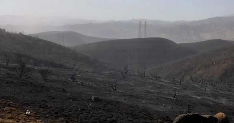 Incendios de Los Ángeles, contenidos por completo después de tres semanas