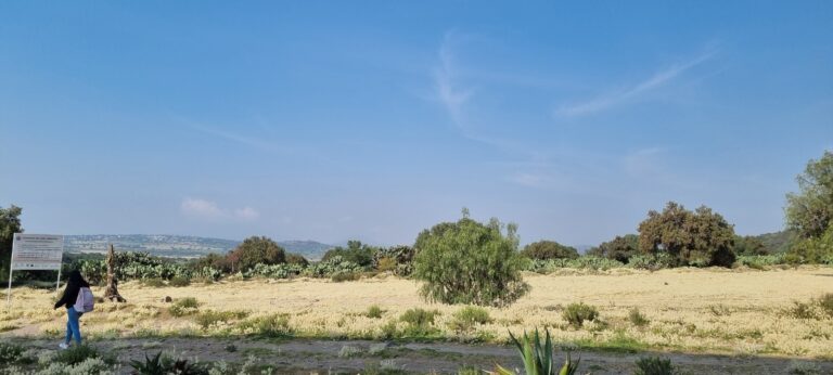 Se esperan temperaturas arriba de los 54 grados en algunos estados