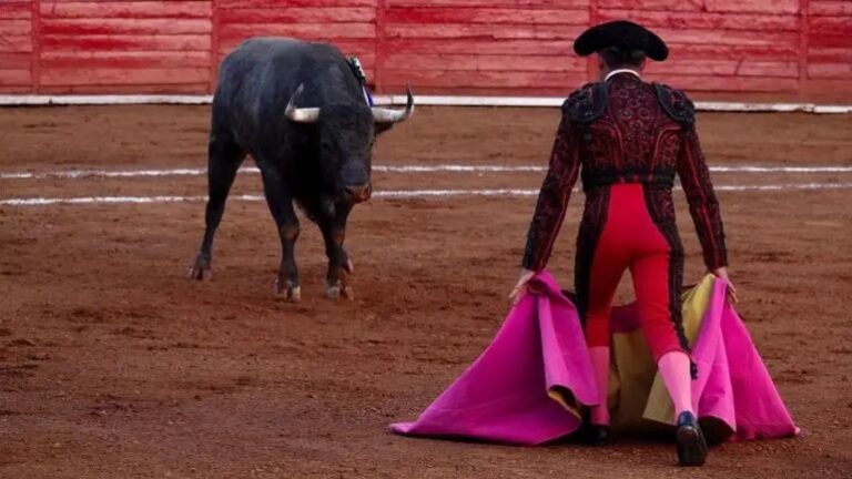Corridas de toros sin sangre en CDMX: Congreso aprobó iniciativa y Brugada lo celebra