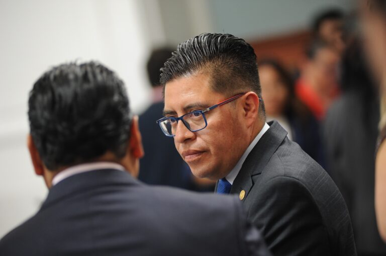 México, en crisis por maltrato animal: urgen reformas para su protección