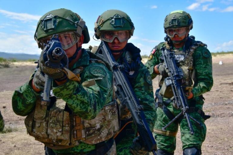 Ejército Mexicano erradicó 331 plantíos de enervantes