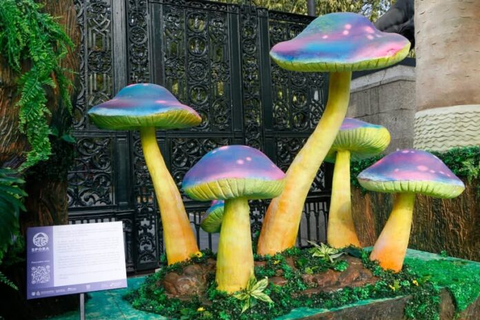 Spora Festival del Bosque de Chapultepec 2025: fechas, sedes y actividades que puedes hacer gratis