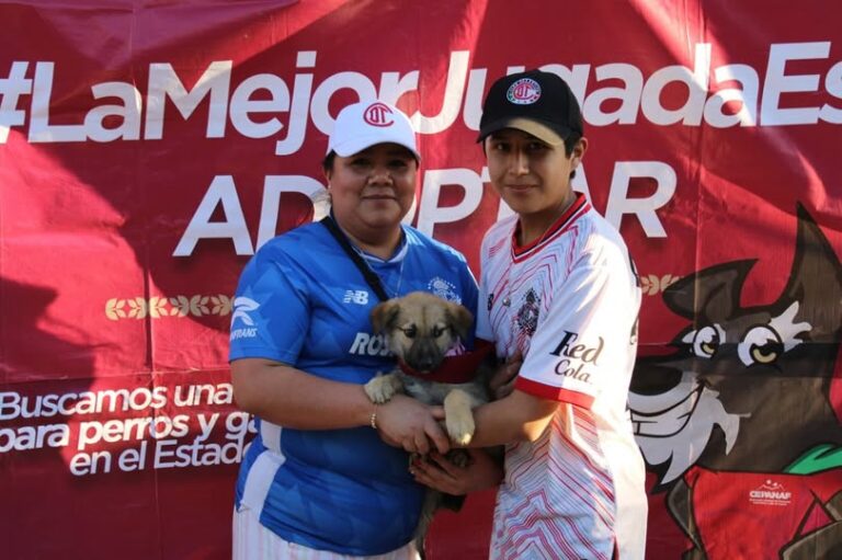 Más de 300 animales de compañía encuentran un nuevo hogar en el Estado de México