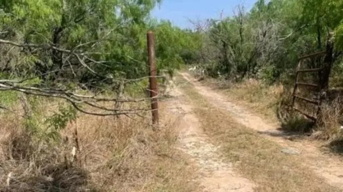 Localizan seis torsos completos en fosas de un rancho en Reynosa, Tamaulipas