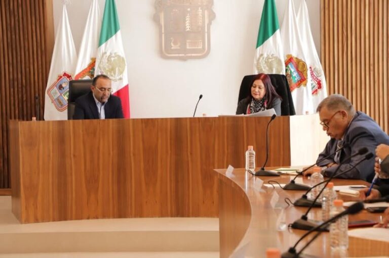 “Tecámac será un referente en bienestar animal”: Rosi Wong Romero